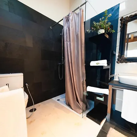 Conceicao - Nze221 By Interhome *